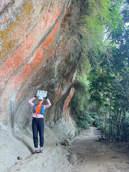 20250913_三峽鳶山爬山趣2882819