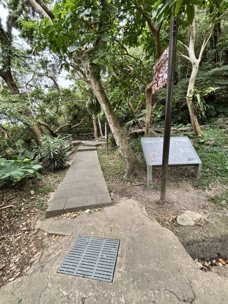 2025-09-06 牛港稜山步道2883856