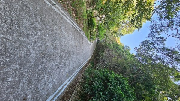 【誰是本尊？誰又是分身？】解鎖第53座小百岳#038鐵砧山2903838