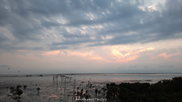 《彰化》海空七夕｜芳苑海空步道濕地紅樹林202408102569281