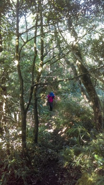 薯榔尖山、石筍尖山O走656759