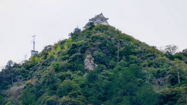 織田信長的天下夢2980793
