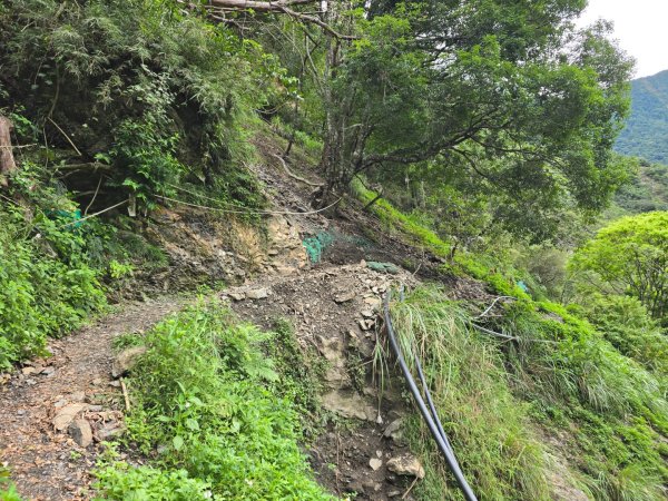 觀高山屋／龍貓公車／八通關山／八通關山西峰2927369