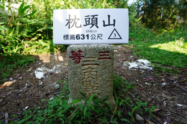 桃園 復興 枕頭山、阿姆坪山2794103