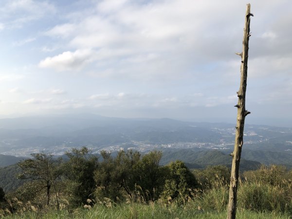 台灣小百岳No.011姜子寮山908431