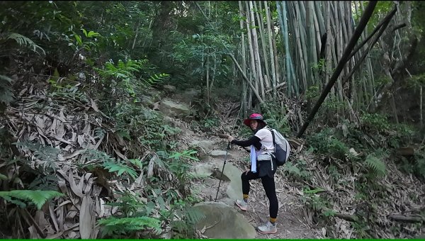 白毛山(谷關七雄No:6)3069013
