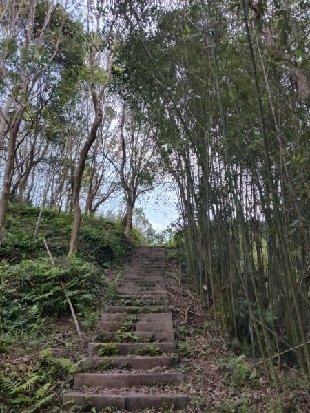 枕頭山-枕頭山西峰2733955