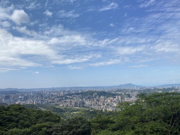 貓空1305366