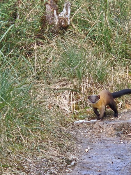 20250130三星山-三星池-翠峰湖-望洋山2702601