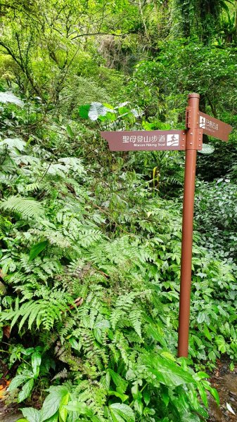 抹茶山，聖母登山步道，隆隆山，福卯古道，水柳腳登山步道，觀音台步道，北勢溪自行車道1742242