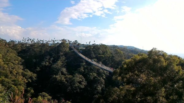 台中八仙山森林遊樂區，天籟步道，白鹿吊橋，南觀音山，溪頭森林遊樂區，妖怪村，猴探井天空之橋1858729