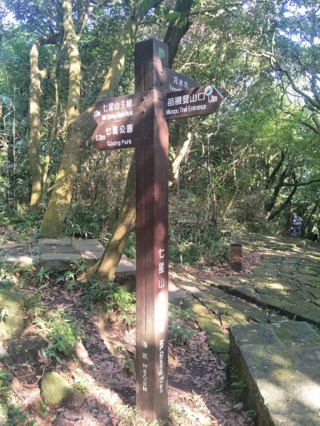 七星山主、東峰登山步道1682133