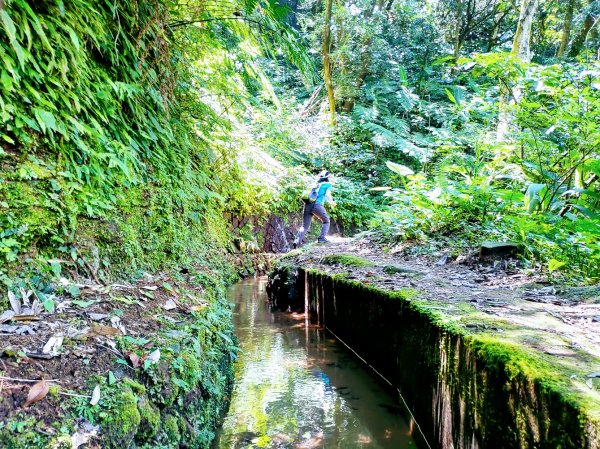 夏日水圳古道之旅：走坪頂古圳步道消暑去637516