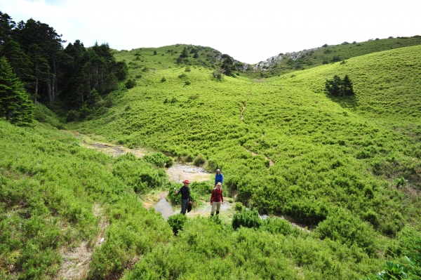 7/26/2014 小溪營地、天巒池、合歡西峰705