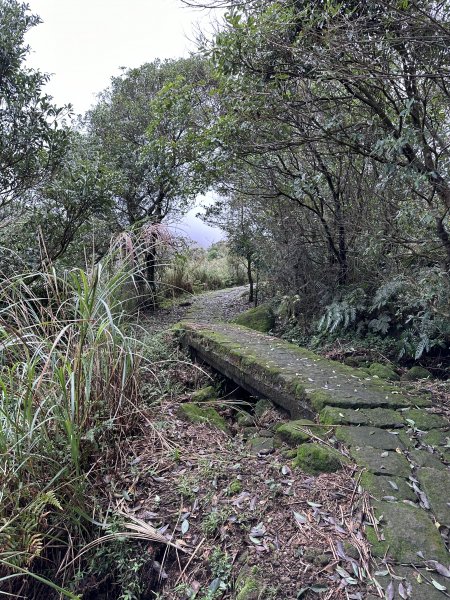 好天氣不爬山要幹嘛！？縱走七星山主東峰 遇見絕美秋芒1910206