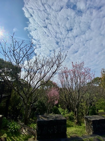 《中正山 × 紗帽山｜穿越北投古道與山林的一日縱走！》2934928