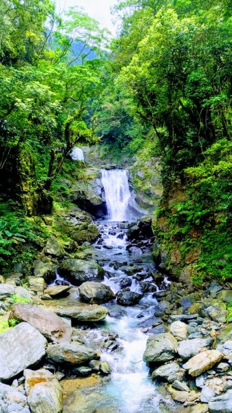 夏季清涼步道：烏來內洞、信賢森林步道588330