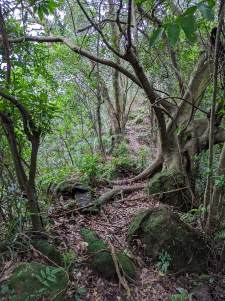 石門山 姜子寮絕壁 泰安瀑布1663753