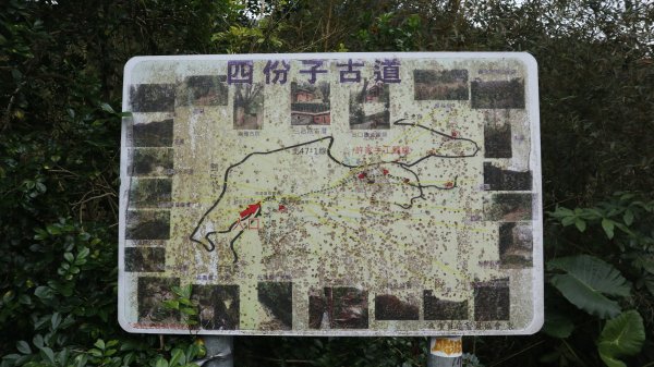 獵貍尖步道連走烏塗溪步道登山健行趣(淡蘭南路TK3-6&TK3-5&TK3-4)2404531