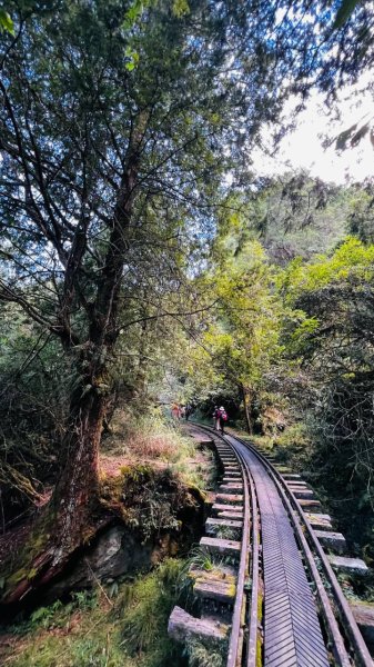 🌈10/11（日）消失的阿里山森林鐵路FB：熊熊趴爬走(富裕登山社)🌈3134745