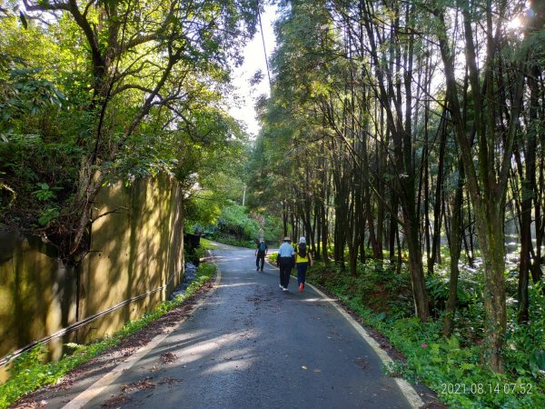 [新竹芎林]石吼子越嶺山徑(初訪)1436276