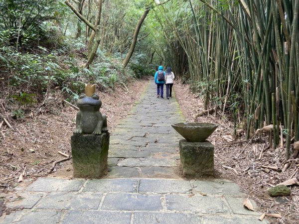 台北：大崙頭尾親山步道2452879