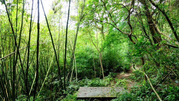 暖東峽谷大環小環2834410