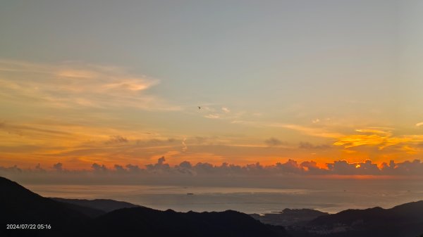 雲山水花鳥蝶 - 天龍國阿伯的日常7/18 & 21、22、292556653