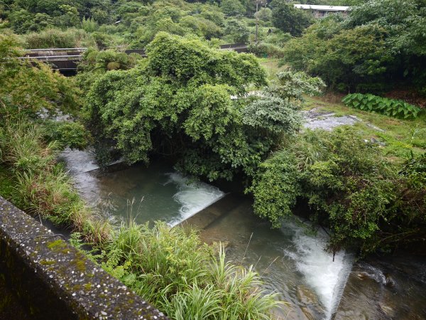 [淡蘭古道] 2026_0614 北路第三段_道路3075538