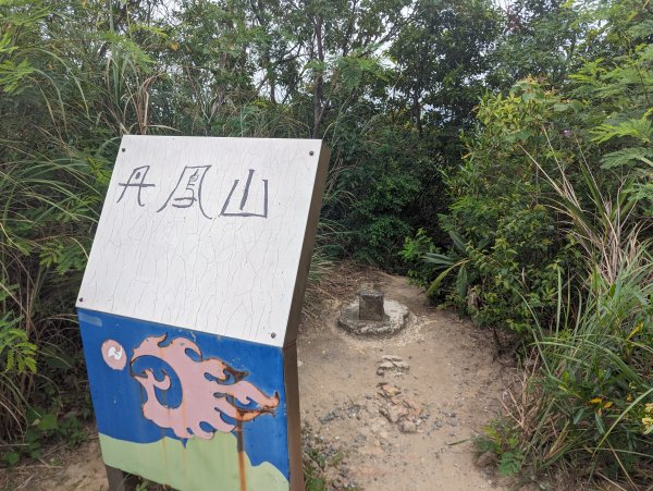 2024-05-12 軍艦岩、丹鳳山越野跑2793766