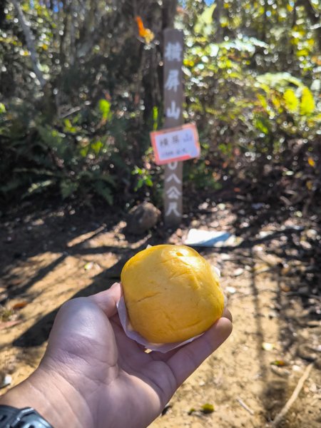 2025-12-21 武界山、獅凸魯山、橫屏山、橫屏山西峰2969706