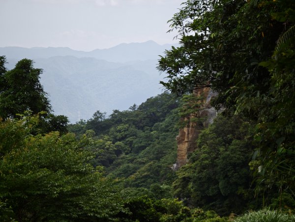 [淡蘭古道] 2026_0531 北路第四段_金字碑古道(中)-山羌3071063