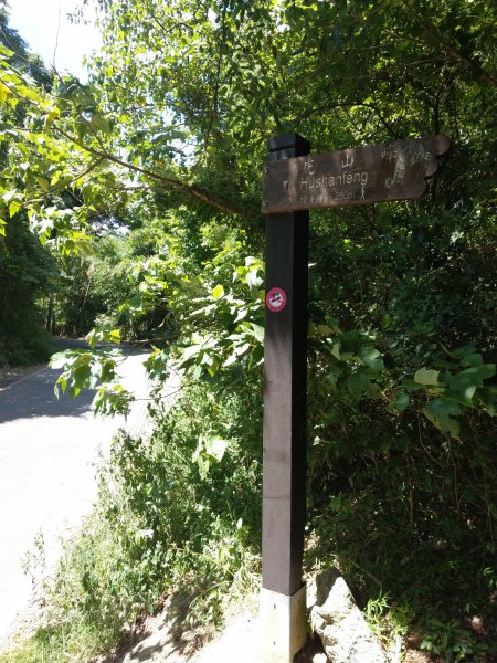 南港山及九五峰676195