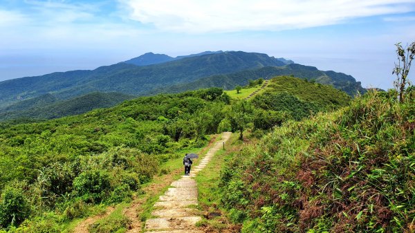 草嶺古道，跑馬古道，十一指古道，頭寮生態步道，金敏子山，詩朗山，王公坑山1721931