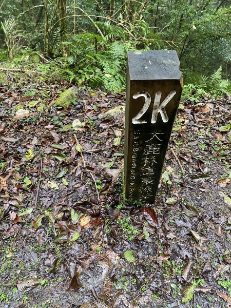 大霸尖山3日(2024.12.24~12.26)2813822