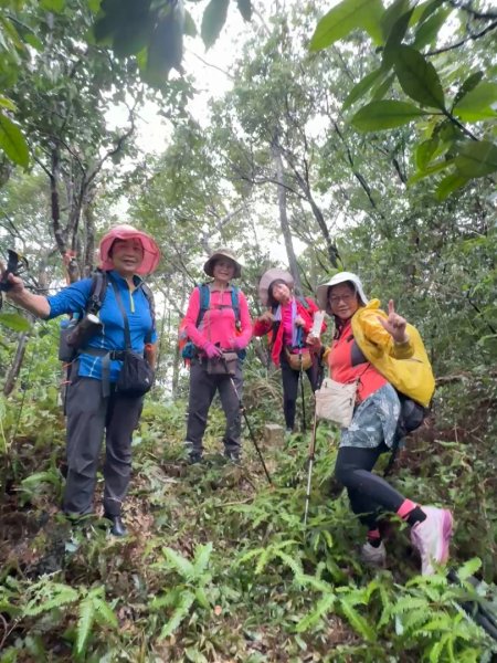 關西大東坑山/草長難過  順訪東安古橋2930481