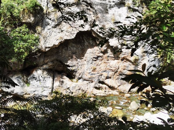夢幻河谷，花紋石壁，碧綠溪水1792684