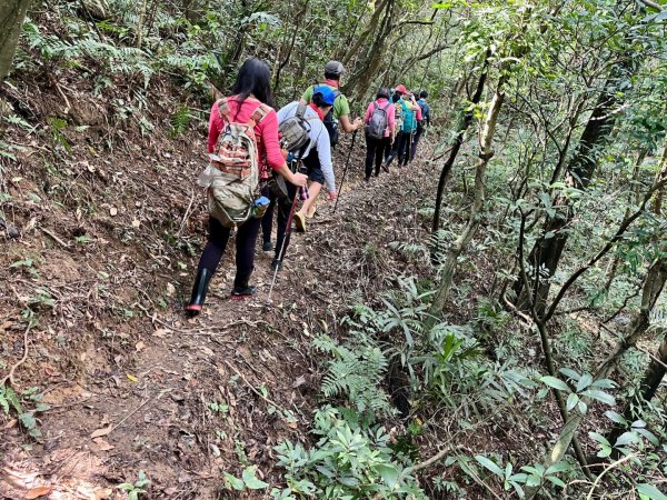 東勢大崙、東勢坑山、觀音湖山O走2986392