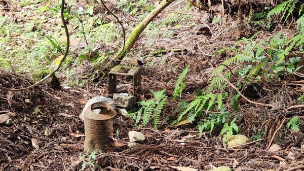 【中級山】五星級步道，谷關七雄馬崙山（八壯士進，斯可巴出）2744981