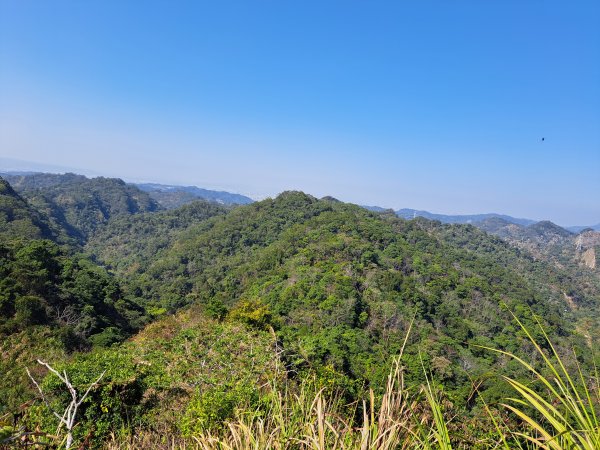 霧峰奧山+砲台山+桐林山O型202301272008271