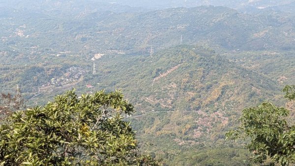 崁頭山步道3002457