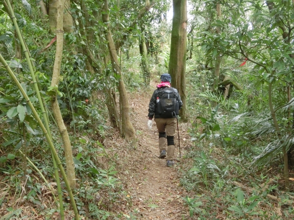 白鷺鷥山．康樂山．牛稠尾山96345