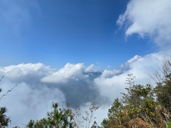 東卯山／東卯山西峰+賞山櫻花2715998