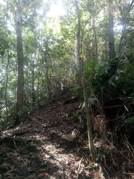 小東河山至大龍山202111201842863