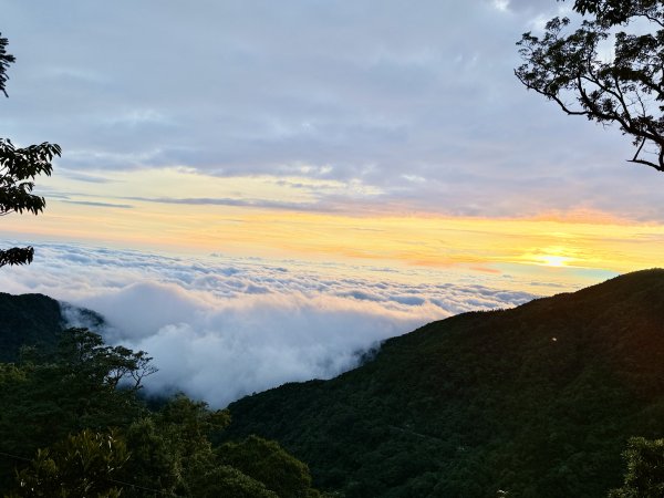 又來老地方避暑，順走小雪防火巷秘境  2026.7.1-23081458