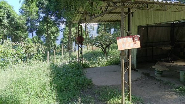 20251004 馬那邦山 - 珠湖 登山口2904906