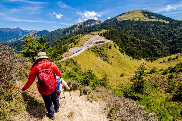 合歡山北峰賞高山杜鵑(2021/04/30)1370882