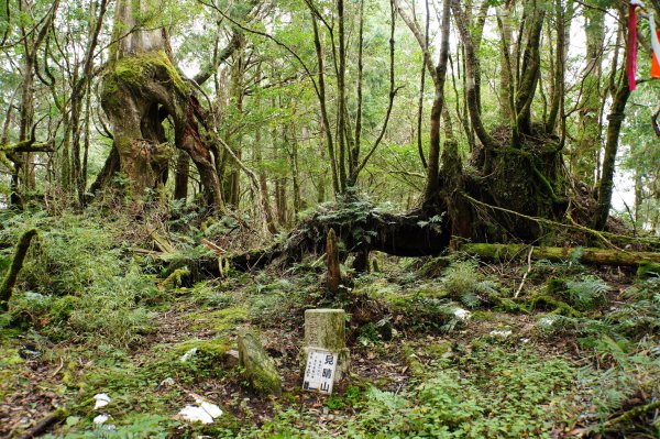 宜蘭 大同 見晴山2890628