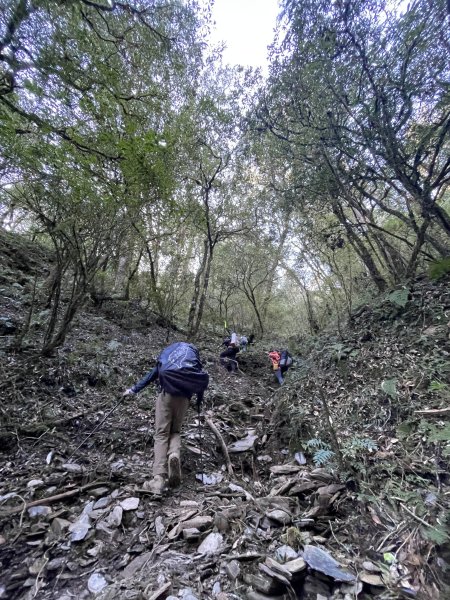 干卓萬橫斷 2024 11/29 四天三夜2865562