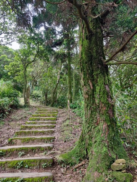 姜子寮山-小百岳#11-基隆市七堵區2248513